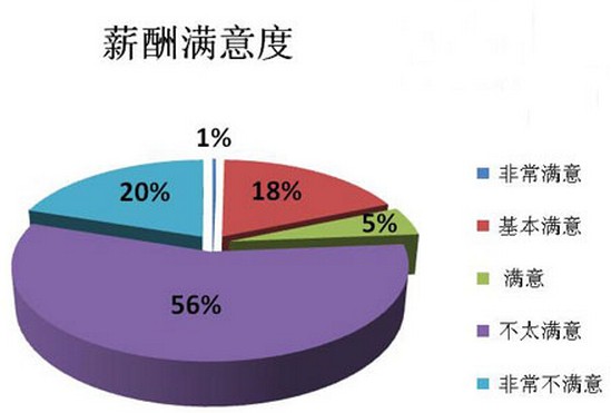 个人收入证明_个人收入调查报告