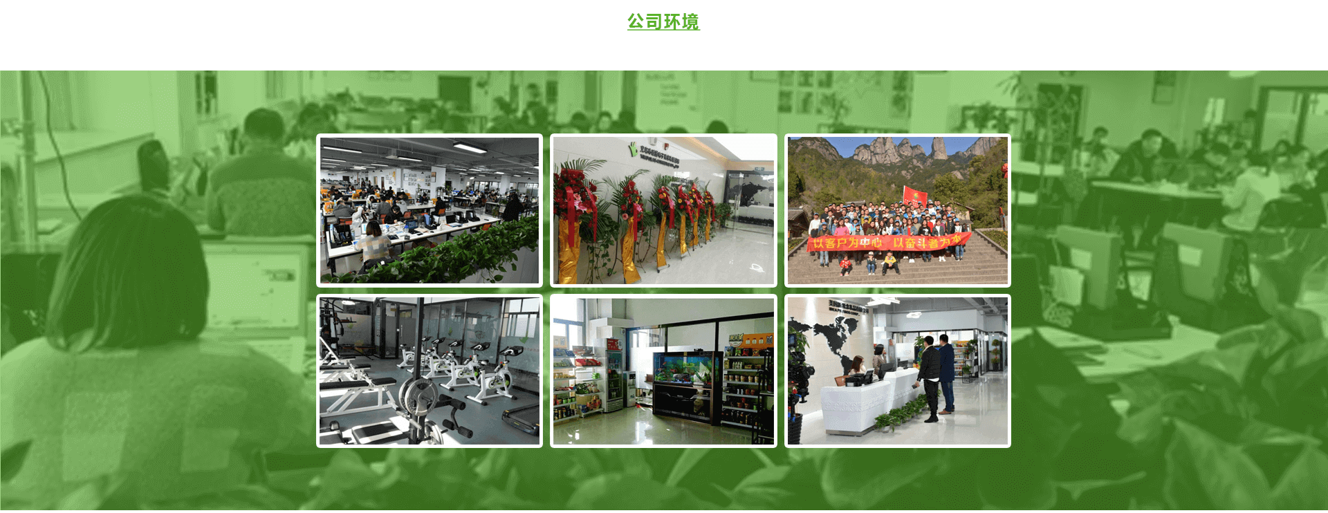 义乌市欧拉电子商务有限公司